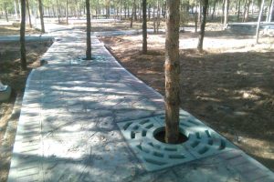 گریتینگ بتنی بُن